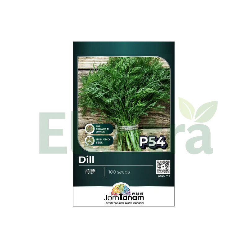 P54 DILL